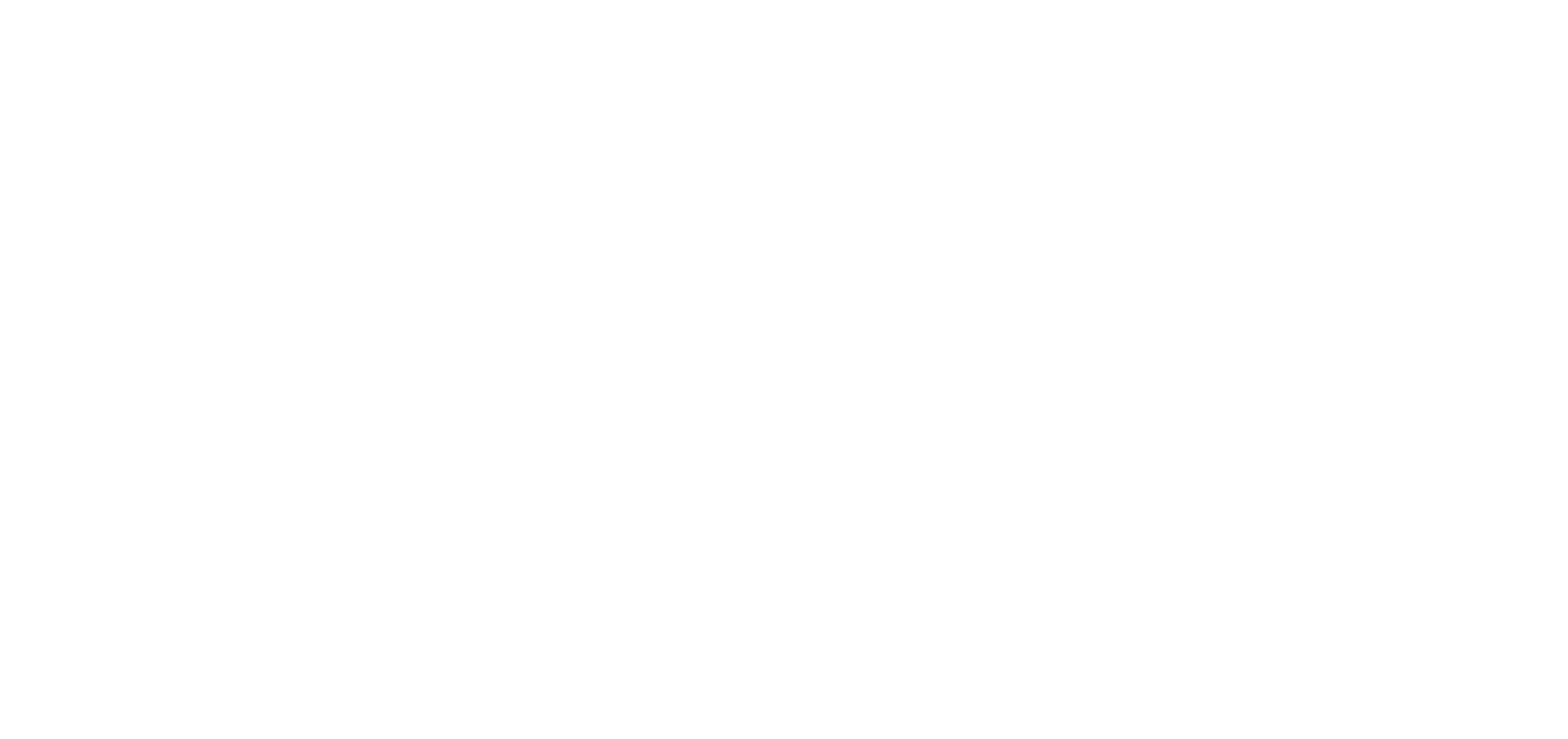 pmg-logo